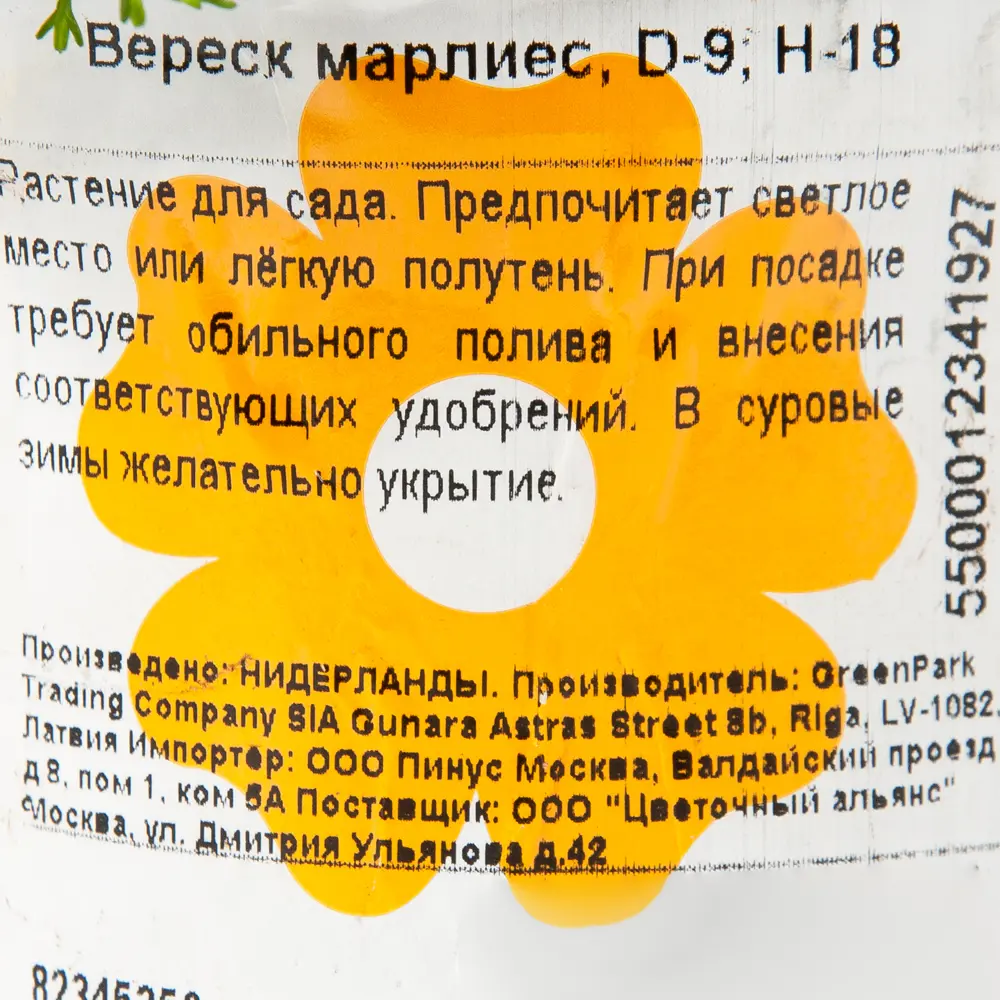 Вереск Марлиес - декоративный многолетник для сада с двойным цветением 82345350 Santreyd STLM-1579383 - Вид №1