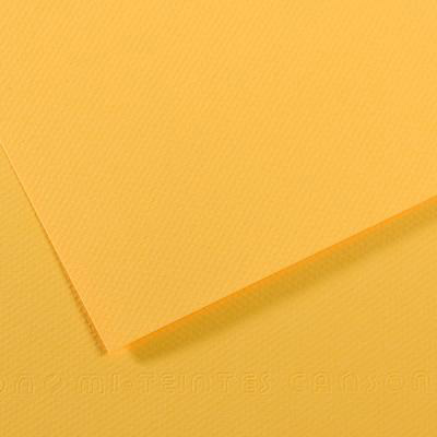 200321665 Бумага для пастели Mi-Teintes 160 г/м2 А4 21 х 29.7 см лист №400 канареечный Canson 