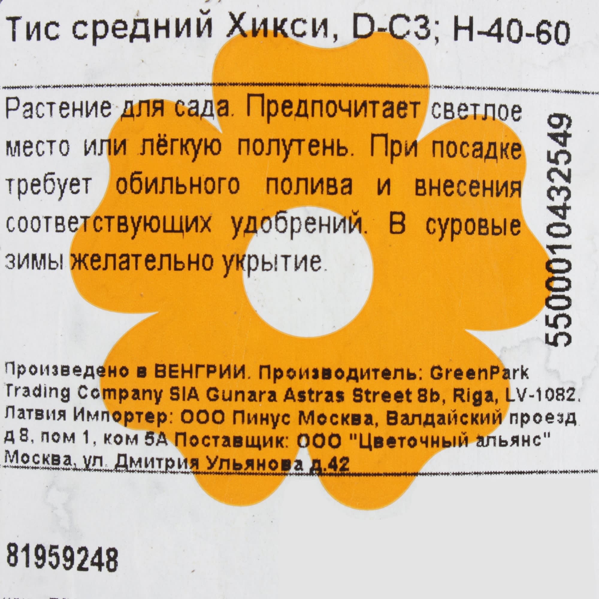 81959248 Тис средний «Хикси» С3/40-60 Santreyd  - Вид №2