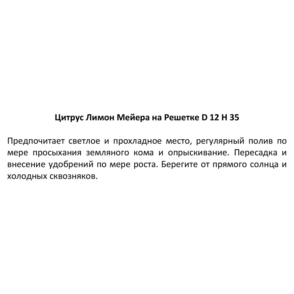 Лимон Мейера ø12 h35 см 83738753 STLM-2083625 Santreyd  - Вид №3