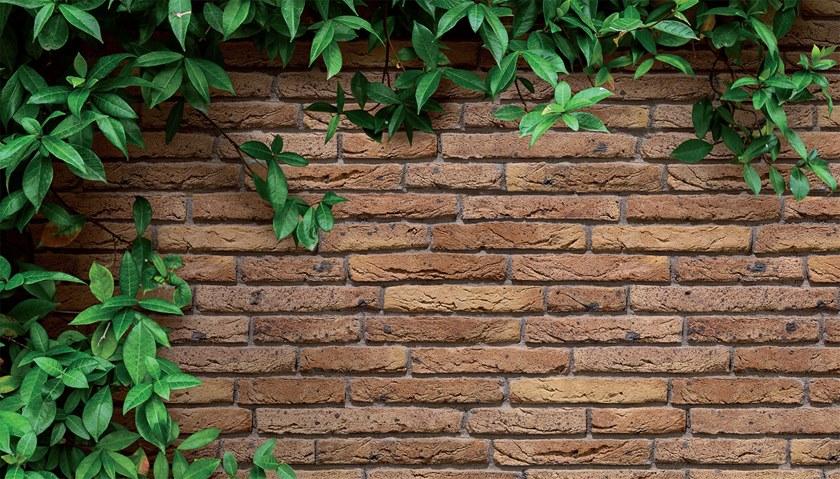 B&B Rivestimenti Naturali Кирпич глиняный для открытой кладки Mattoni / listelli Grande réserve n.8 - Вид №1