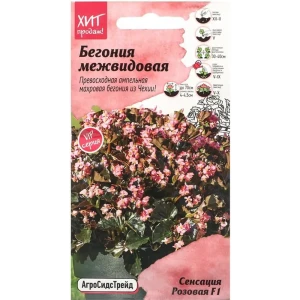 Семена цветов Агросидстрейд бегония межвидовая Сенсация F1 розовый 5 шт.