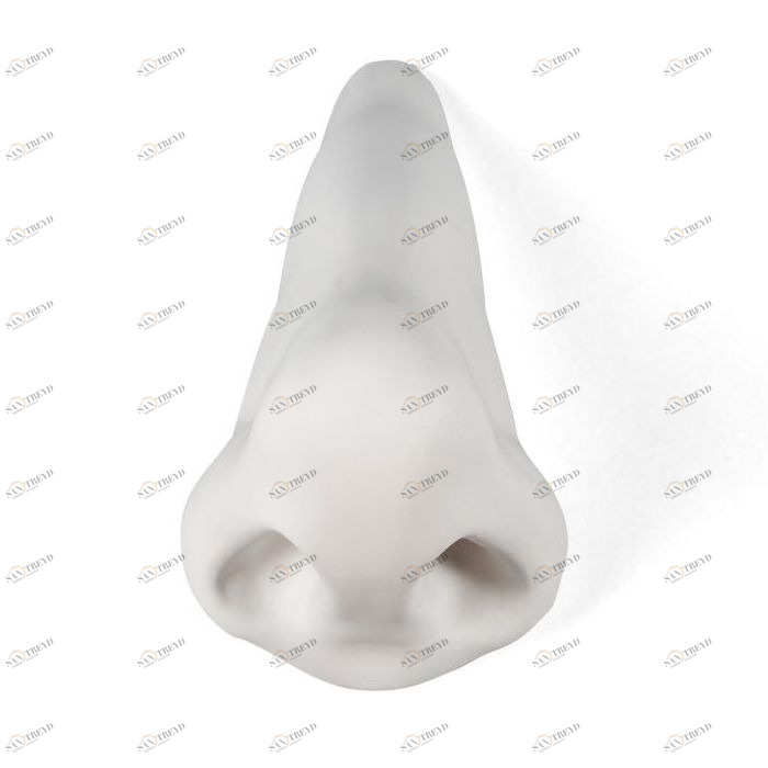 Статуэтка фарфоровая см белая Memorabilia Mvsevm Nose SELETTI  00-3883235 Белый 