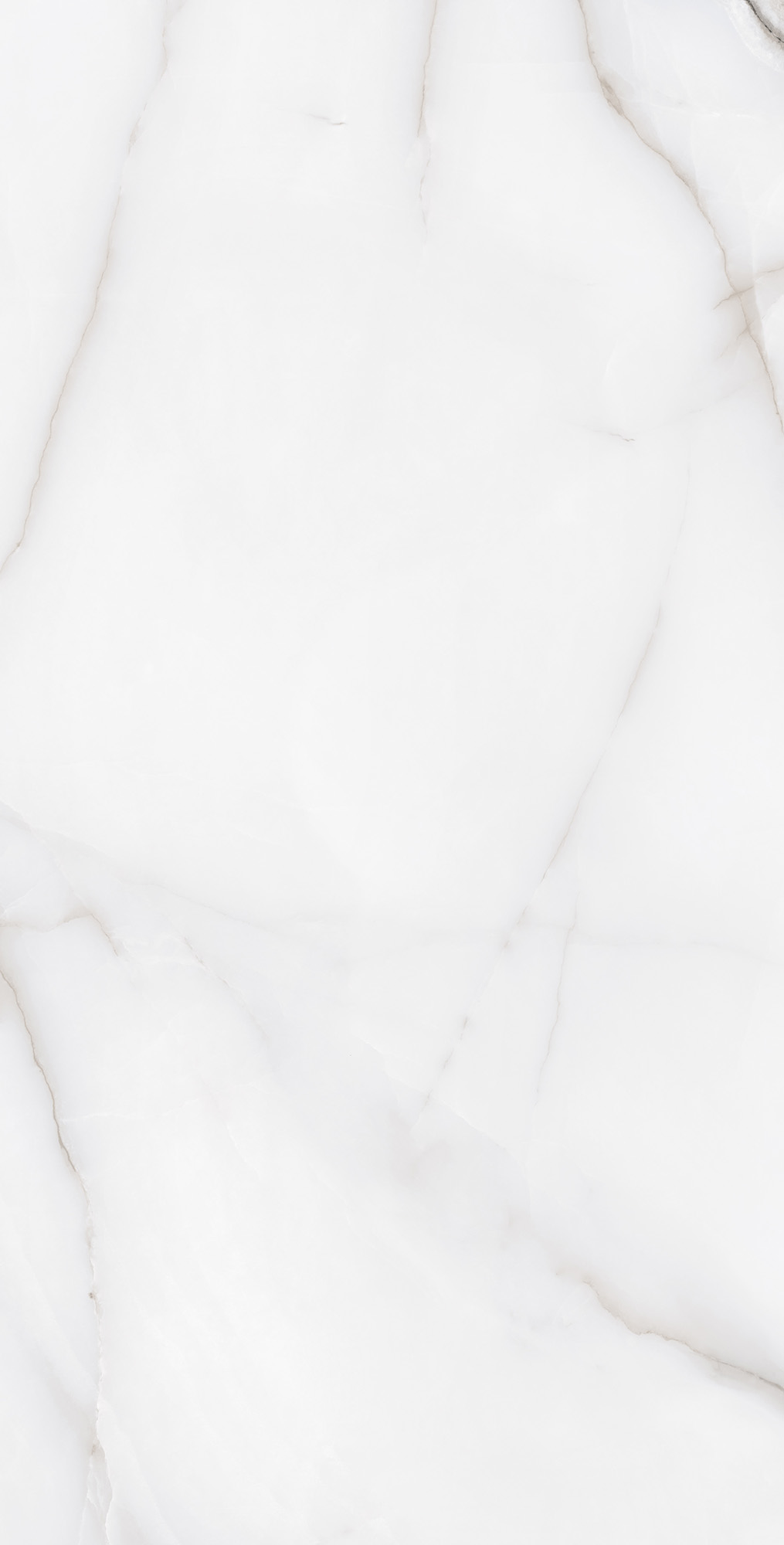 FEATHER ONYX — Элегантность в каждом сантиметре RT7012-A Arcadia Ceramica - Вид №3