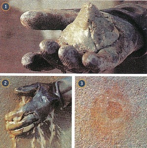 Сухая смесь Penetron Peneplug / Пенетрон Пенеплаг для мгновенной ликвидации напорных течей 25кг 5487 - Вид №1