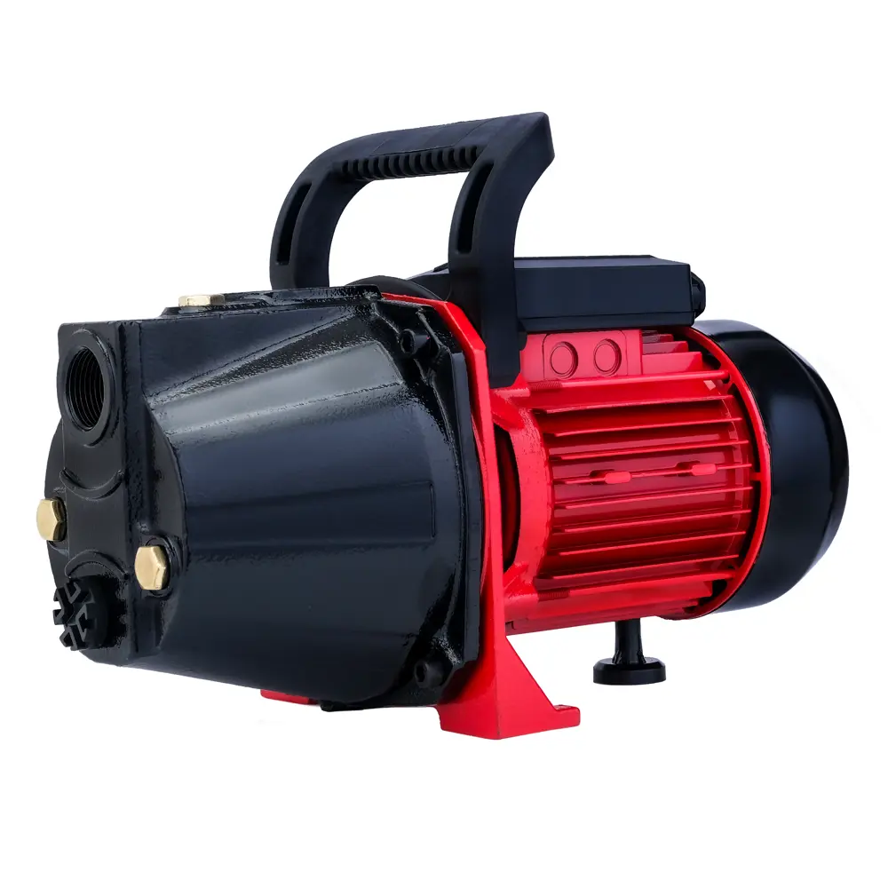 Насос садовый поверхностный Lepump P-1100C/4800/50, 4800 л/ч 89414094 STLM-2030555 Santreyd 