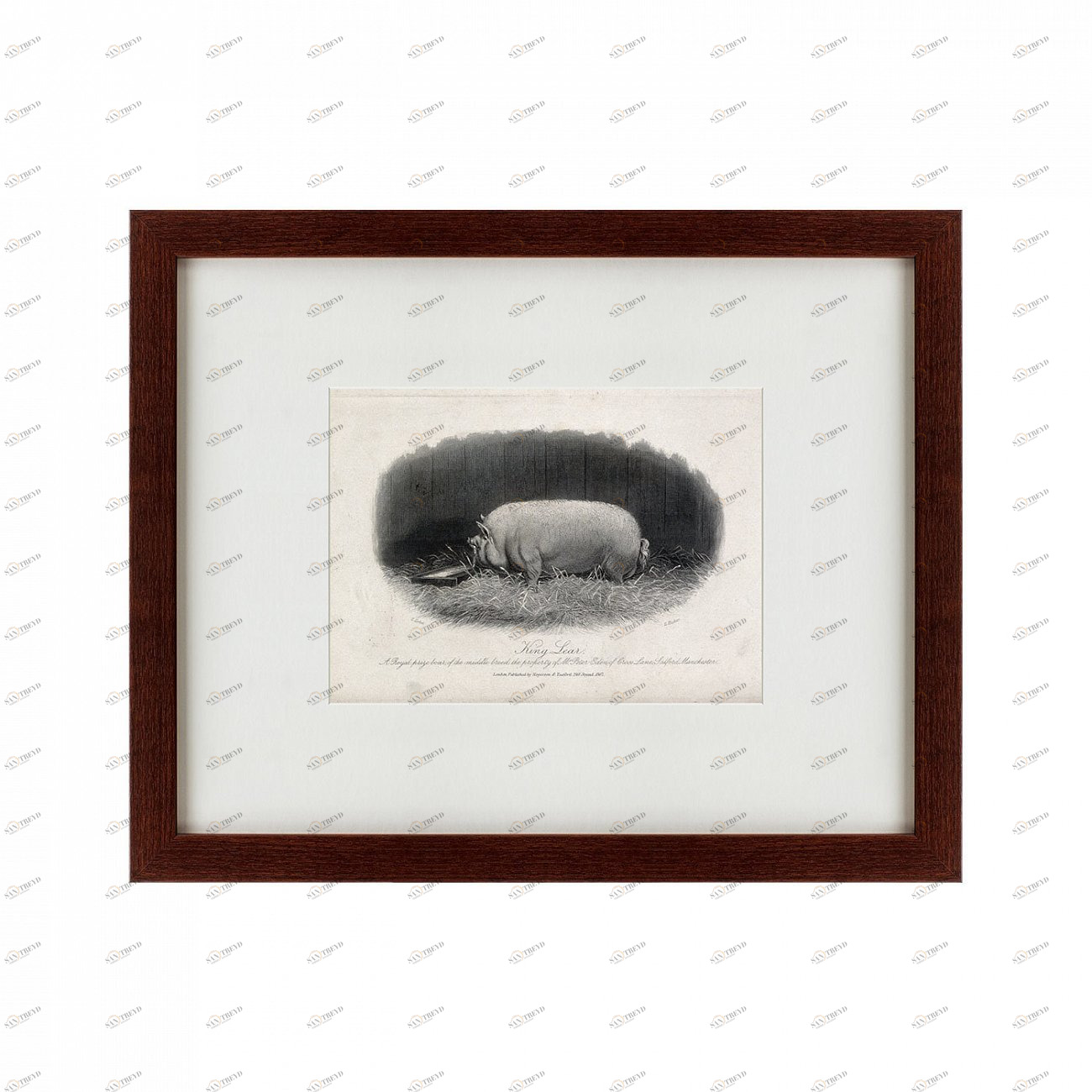 Литография на тонированной бумаге 42х52 см A prize boar, 1867 КАРТИНЫ В КВАРТИРУ  135691 Белый;коричневый;разноцветный 