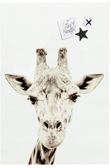 Groovy Magnets Магнитный плакат Animal Pos-62-gi - Вид №1