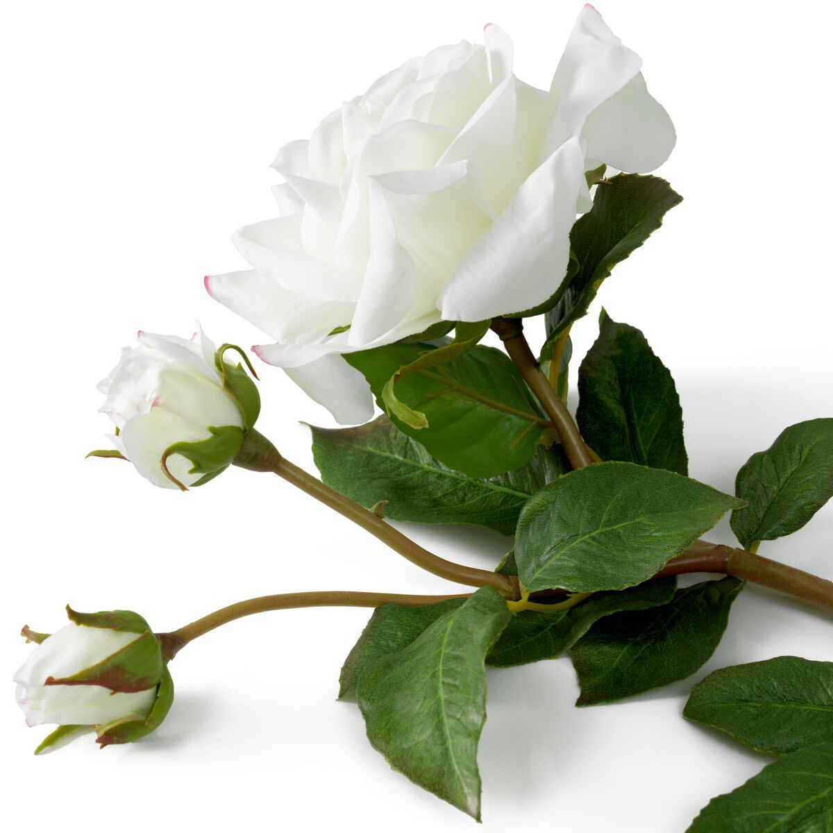 Искусственное растение Eichholtz BOUQUET OF ROSES ARCH-00137307 - Вид №2