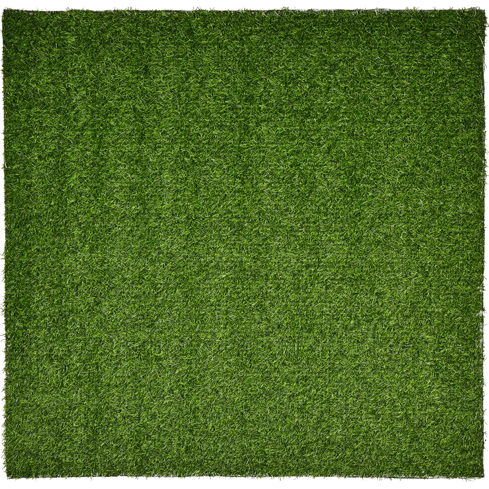 Santreyd Искусственный газон премиум-класса 2×1 м 89367846 STLM-0890229