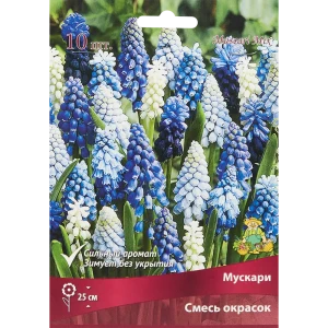 Мускари микс луковица 6/7, 10 шт. 88294990 STLM-2002368