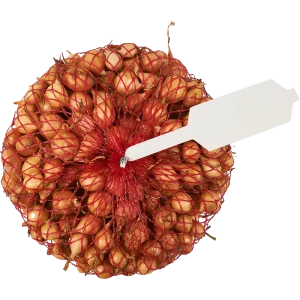 Лук-севок Штуттгартер ризен 0.5 кг