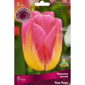 Тюльпан Триумф Том Паус, 5 шт