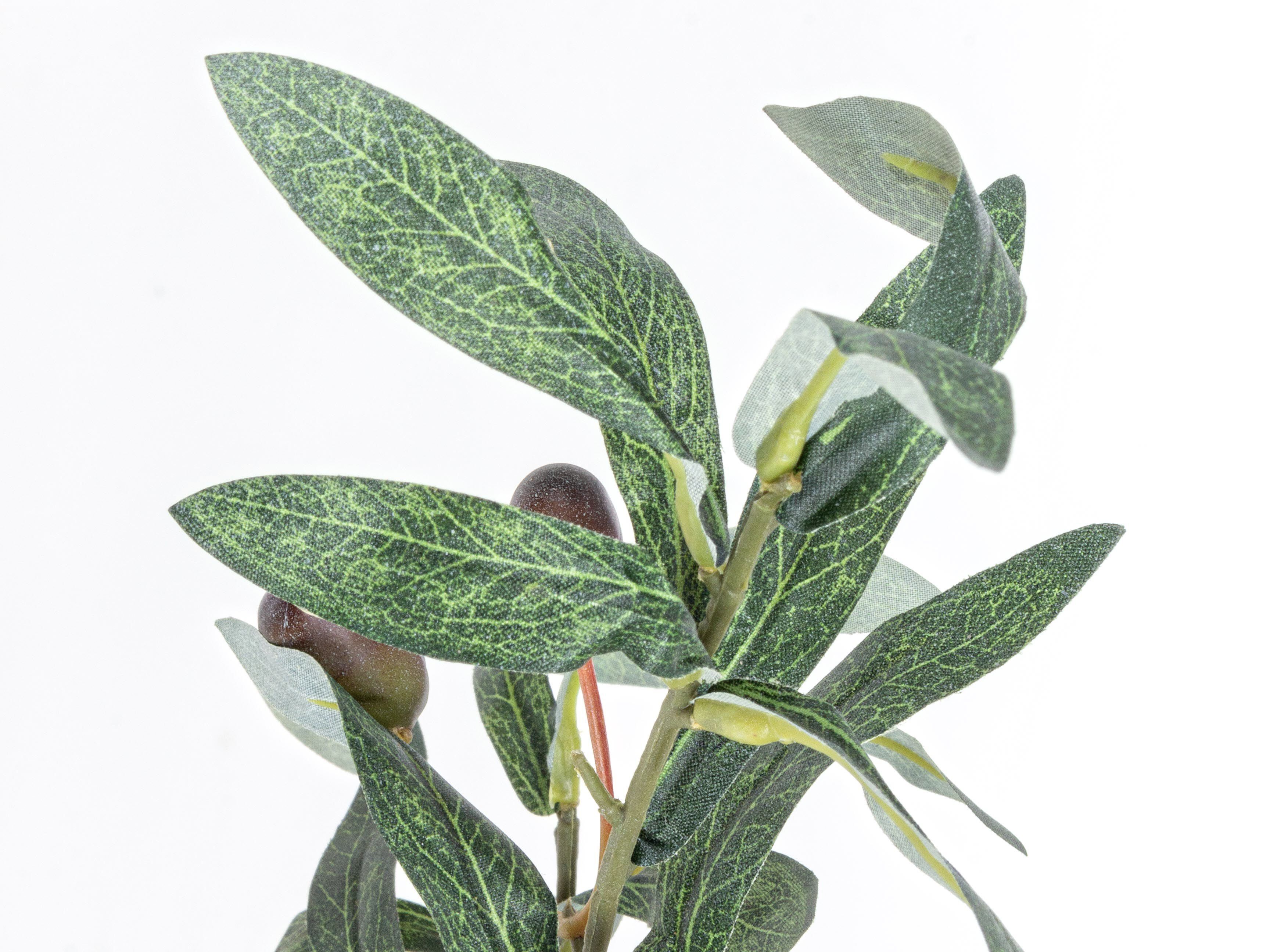 Искусственное растение BIZZOTTO ULIVO H150 ARCH-00073184 - Вид №2