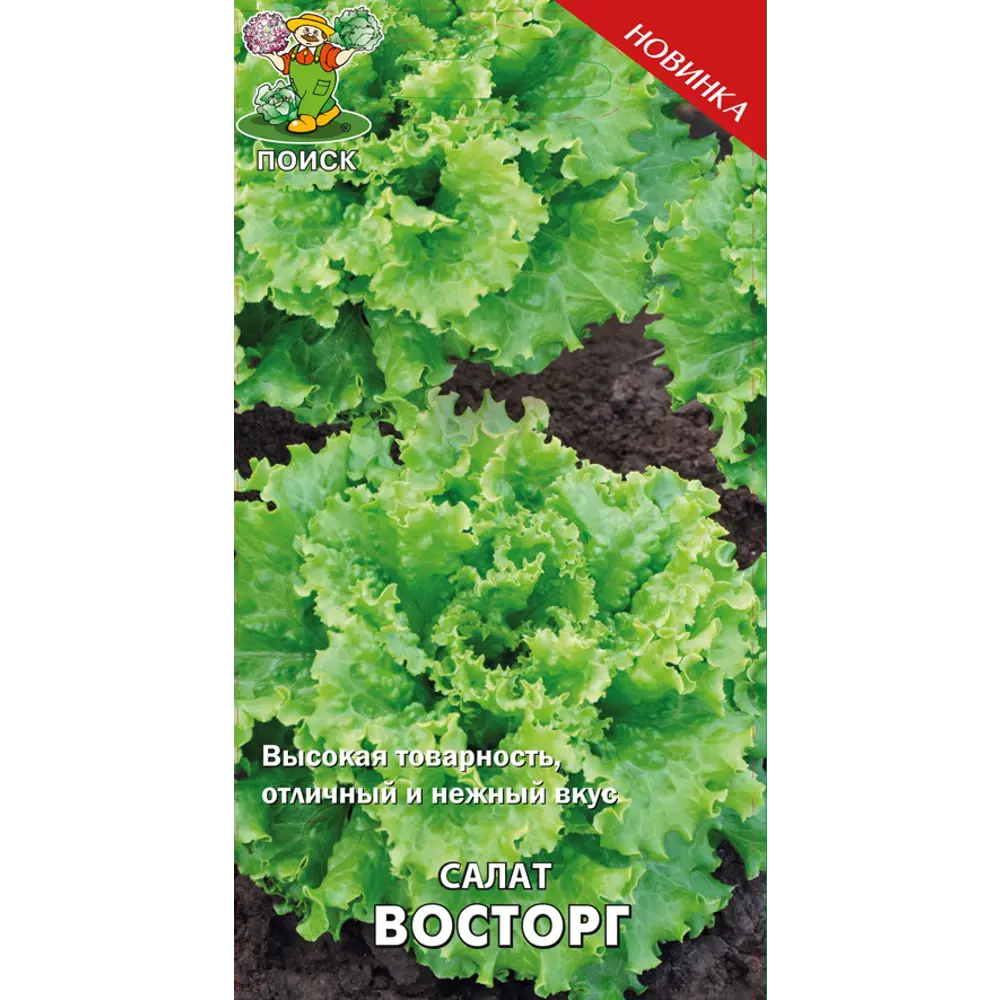 Семена салата «Восторг» от ПОИСК - листовой среднеспелый сорт 82102318 STLM-0018956