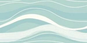 Wave DW9WAV06 250х500
