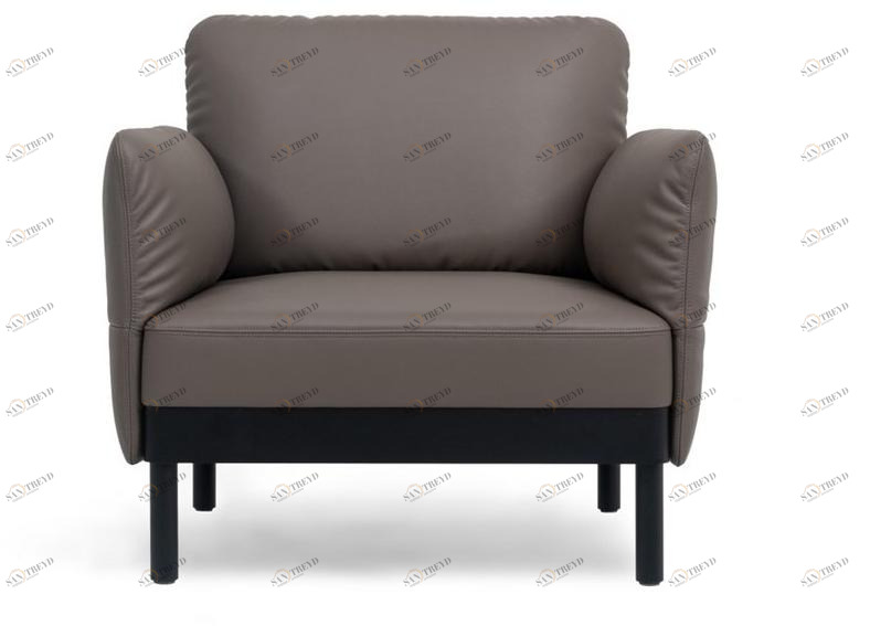 de Sede Кожаное кресло с подлокотниками Ds-840 sun-id-1356772