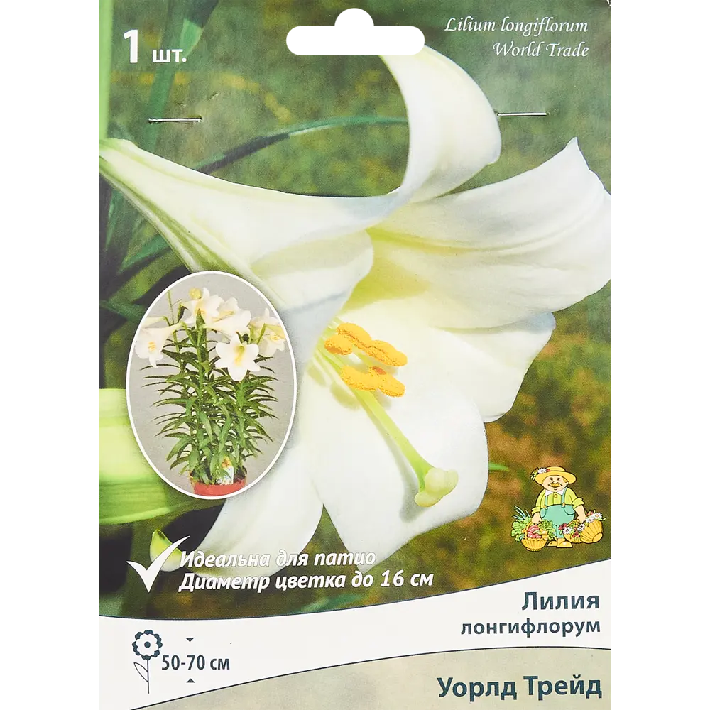 Лилия лонгифлорум Уорлд Трейд 85205732 STLM-2004384 ПОИСК 