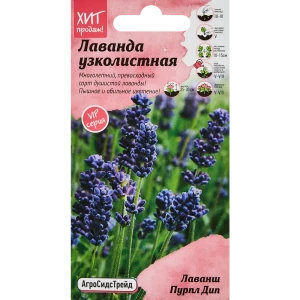Семена цветов Агросидстрейд лаванда узколистная Лаванш Пурпл Дип 6 шт.