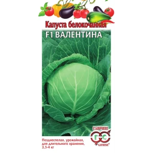 Семена Капуста белокочанная Валентина F1 83607096 STLM-2103157