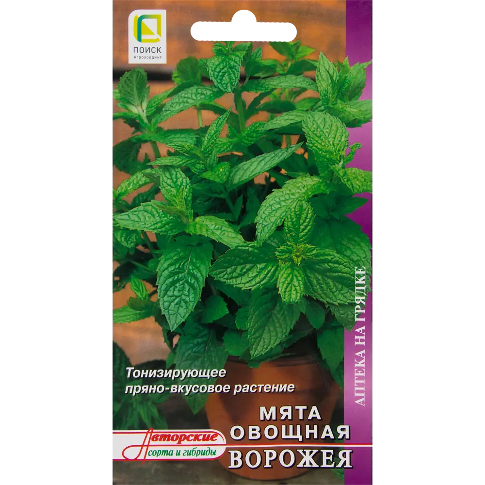 Мята овощная «Ворожея» от ПОИСК - ароматная приправа и лекарство 82476796 STLM-0027863