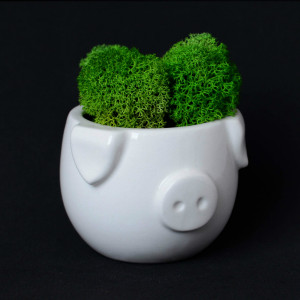 MIN-1-03 Набор для выращивания eco мини-кашпо «минипиг» Экочеловеки