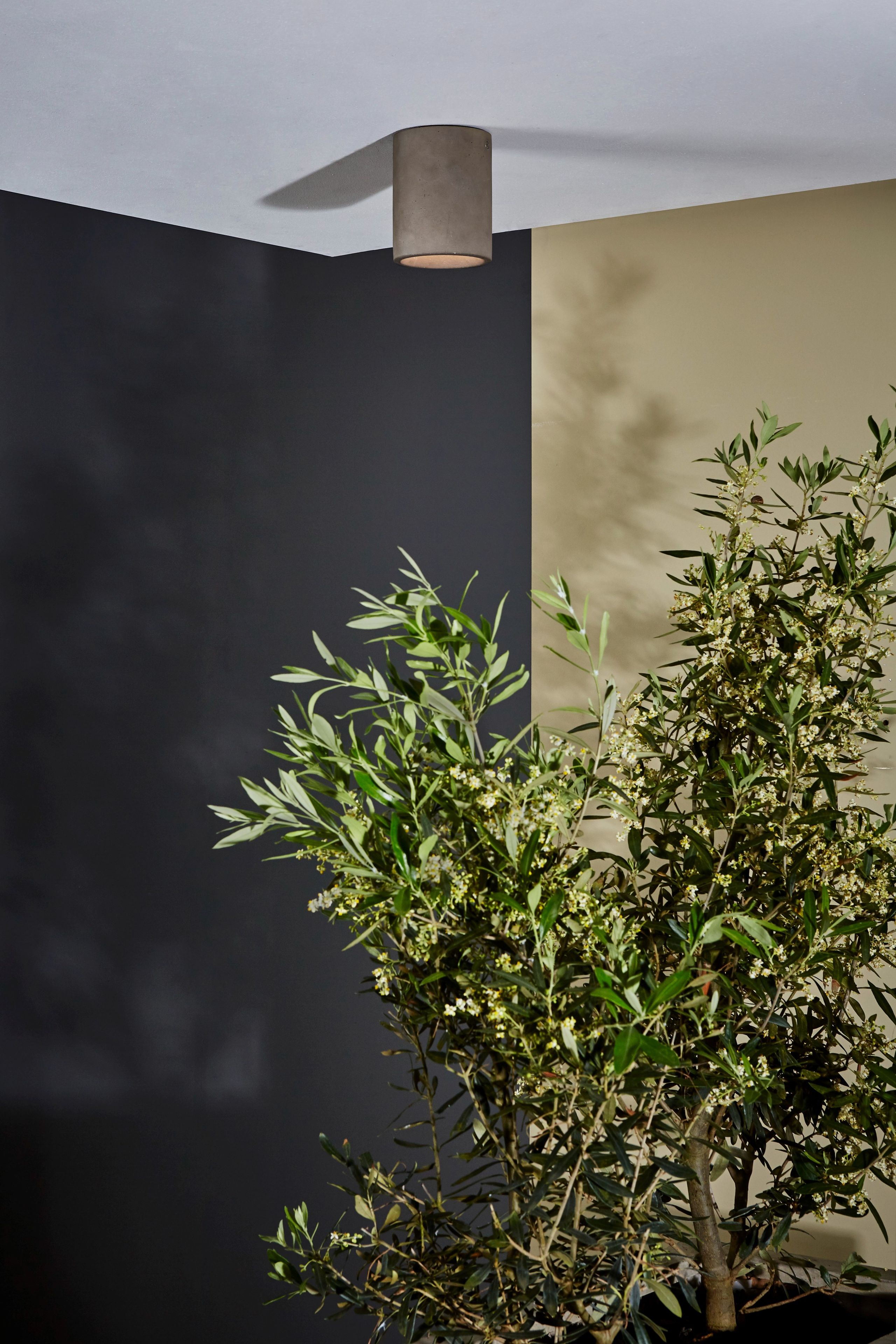 Круглый потолочный бетонный прожектор Astro Lighting Кос ARCH-00142070 - Вид №2