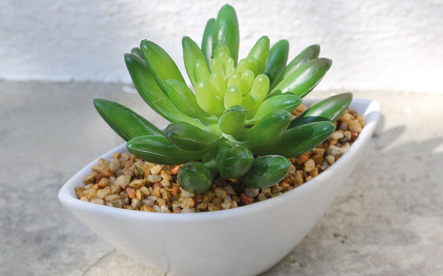 6334 883 a3 Очиток искусственный в керамическом горшке, 9см, зеленый H-andreas  - Вид №4