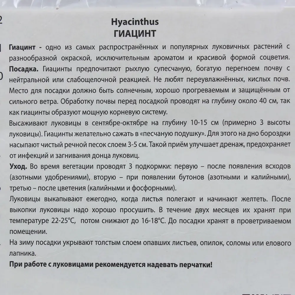 Гиацинт «Вурбак», высота 30 см, 2 шт. 82000165 STLM-2065703 Santreyd  - Вид №2