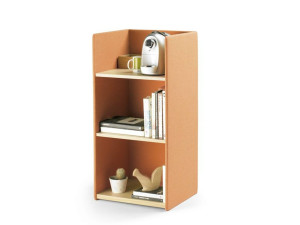 Низкий офисный книжный шкаф