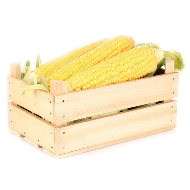 Кукуруза молодая в ящике 30 шт Santreyd 19493