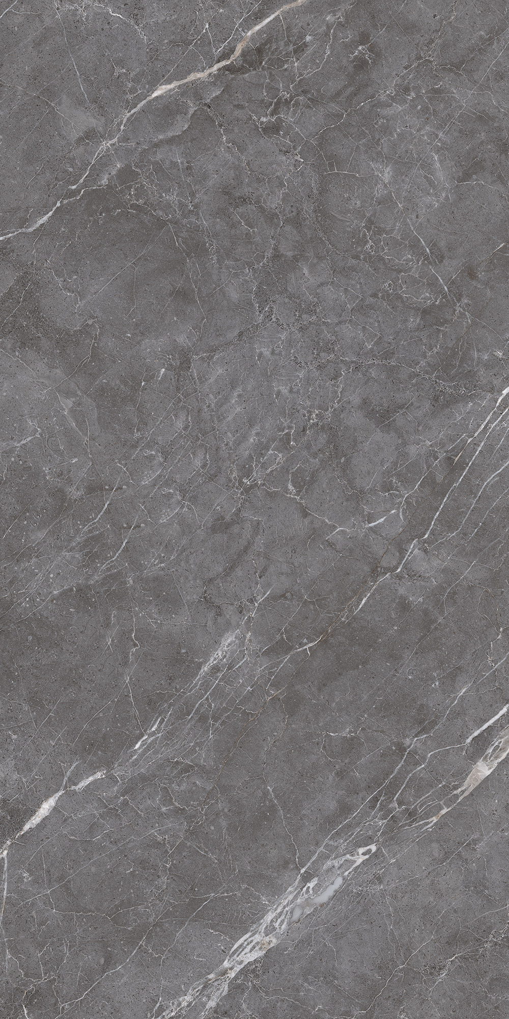 ESPERIA GRIGIO LAPPATO — Серый керамогранит с перламутровым блеском CL4003-A Arcadia Ceramica - Вид №6