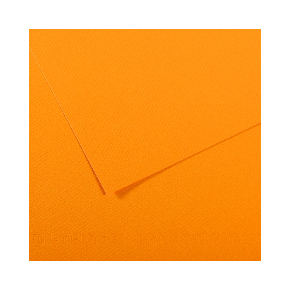 200321224 Бумага для пастели Mi-Teintes 160 г/м2 50 х 65 см лист №553 глубокий желтый Canson 