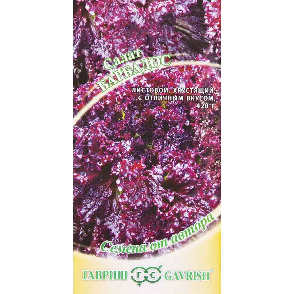 Семена Салат красный «Барбадос» 13901545 STLM-2098742 Santreyd 