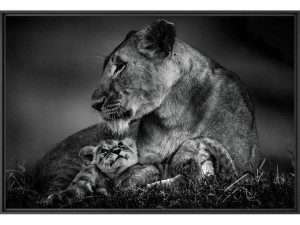 Печать фотографий на бумаге