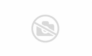 Тэн 600 W хром  Margroid ST-MRG1909