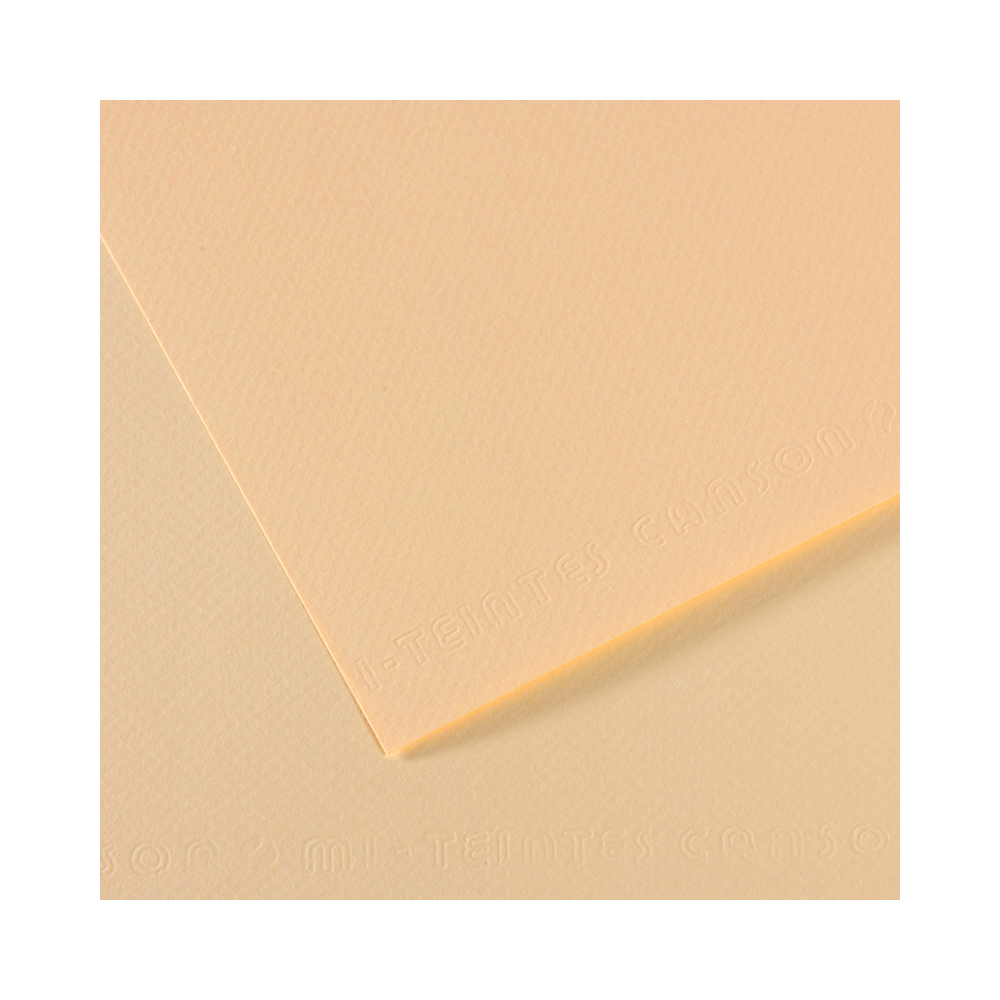 200321334 Бумага для пастели Mi-Teintes 160 г/м2 50 х 65 см лист №111 слоновая кость Canson 