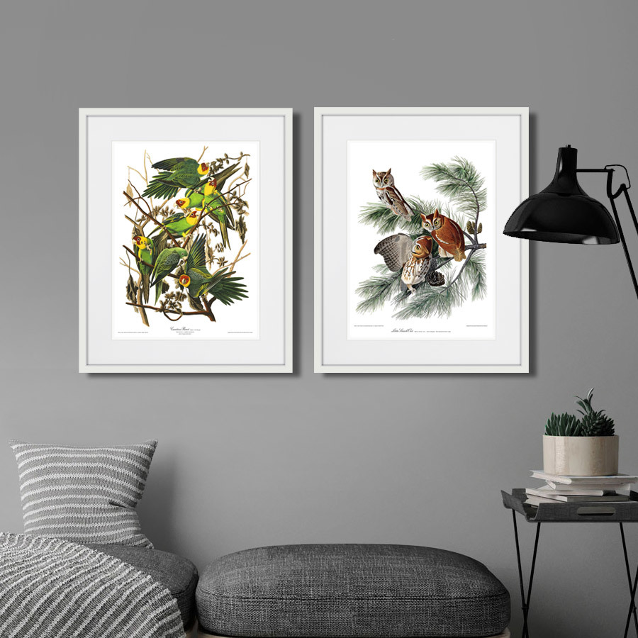 Картина в раме 52х42 см Carolina Parrot, 1841г. КАРТИНЫ В КВАРТИРУ  264485 Желтый;зеленый;разноцветный  - Вид №2