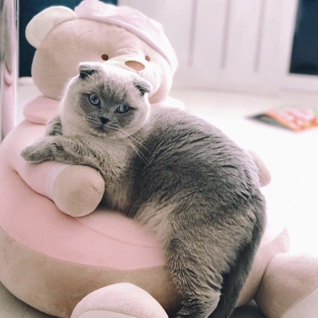 Пуфик детский "Мишка" розовый COMFORTBABY  351332 Розовый Santreyd  - Вид №3