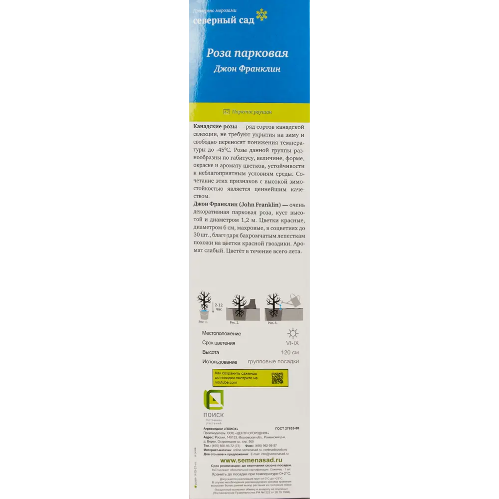 Роза канадская парковая «Джон Франклин» 82150689 STLM-2211396 Santreyd  - Вид №1