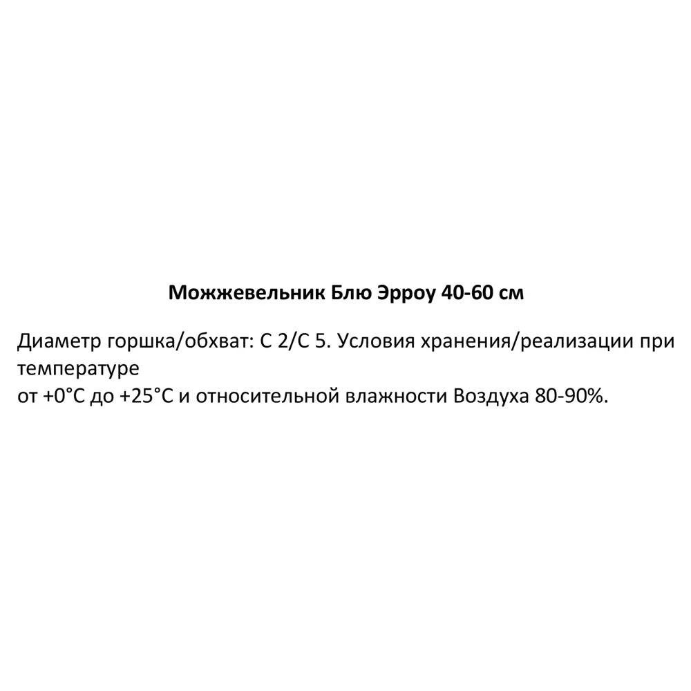 Можжевельник скальный Блю Эрроу ø19 см h40-60 см 85088154 STLM-2099755 Santreyd  - Вид №2