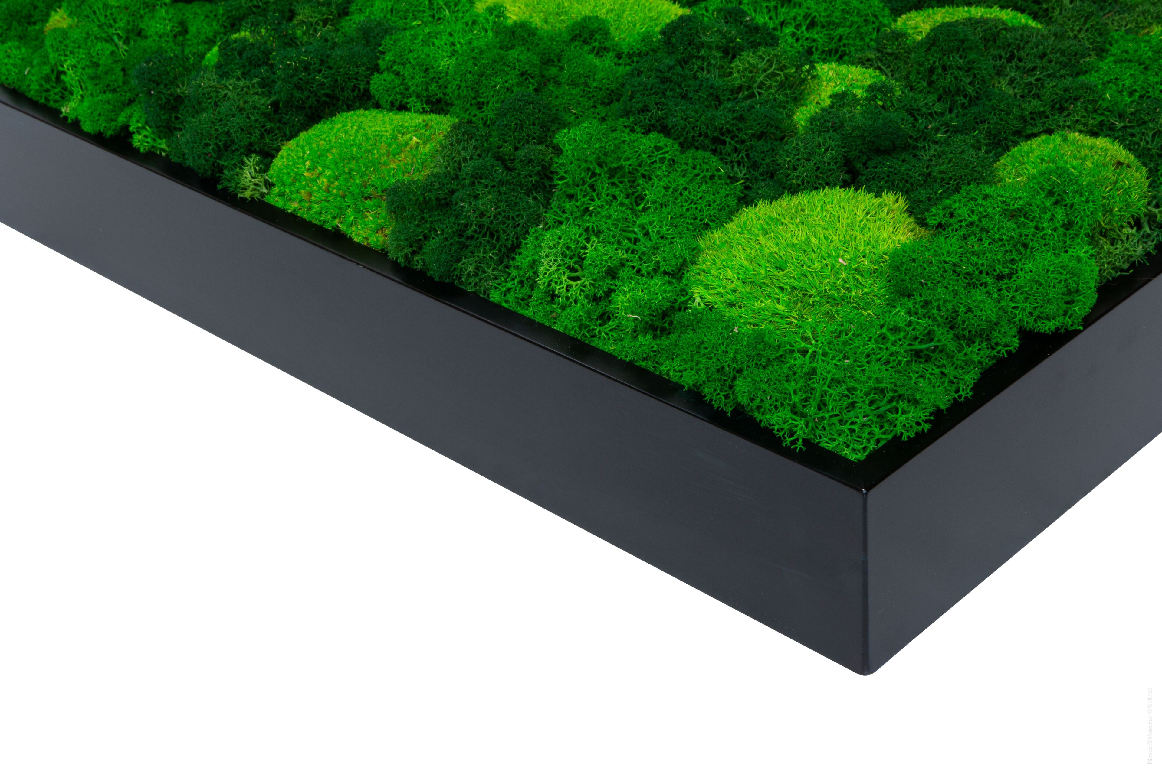 Растительная картина в лишайниках и мхе Tecsound PureKustik ARCH-00114930 - Вид №1