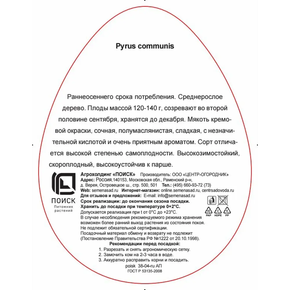 Груша Памяти Яковлева h220 см 83787998 STLM-2006219 Santreyd  - Вид №1