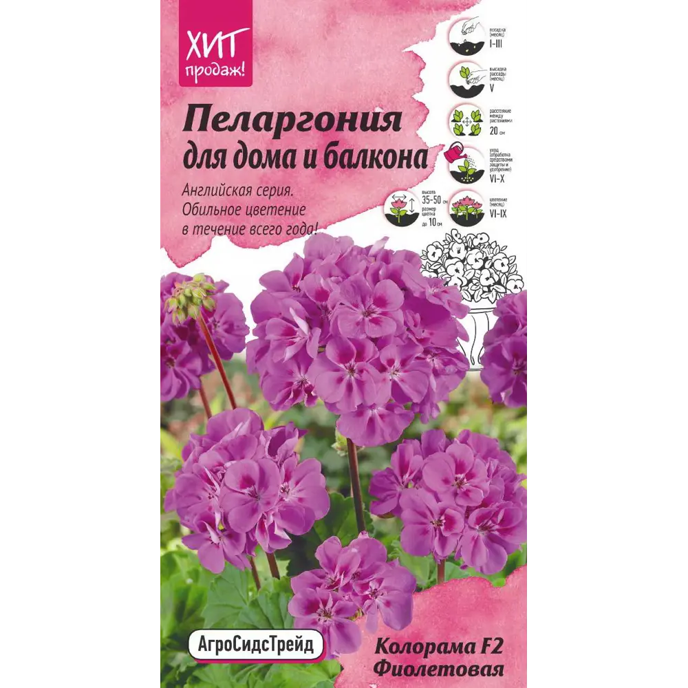 Пеларгония «Колорама» фиолетовая F2 82481706 STLM-2121487 АГРОСИДСТРЕЙД 