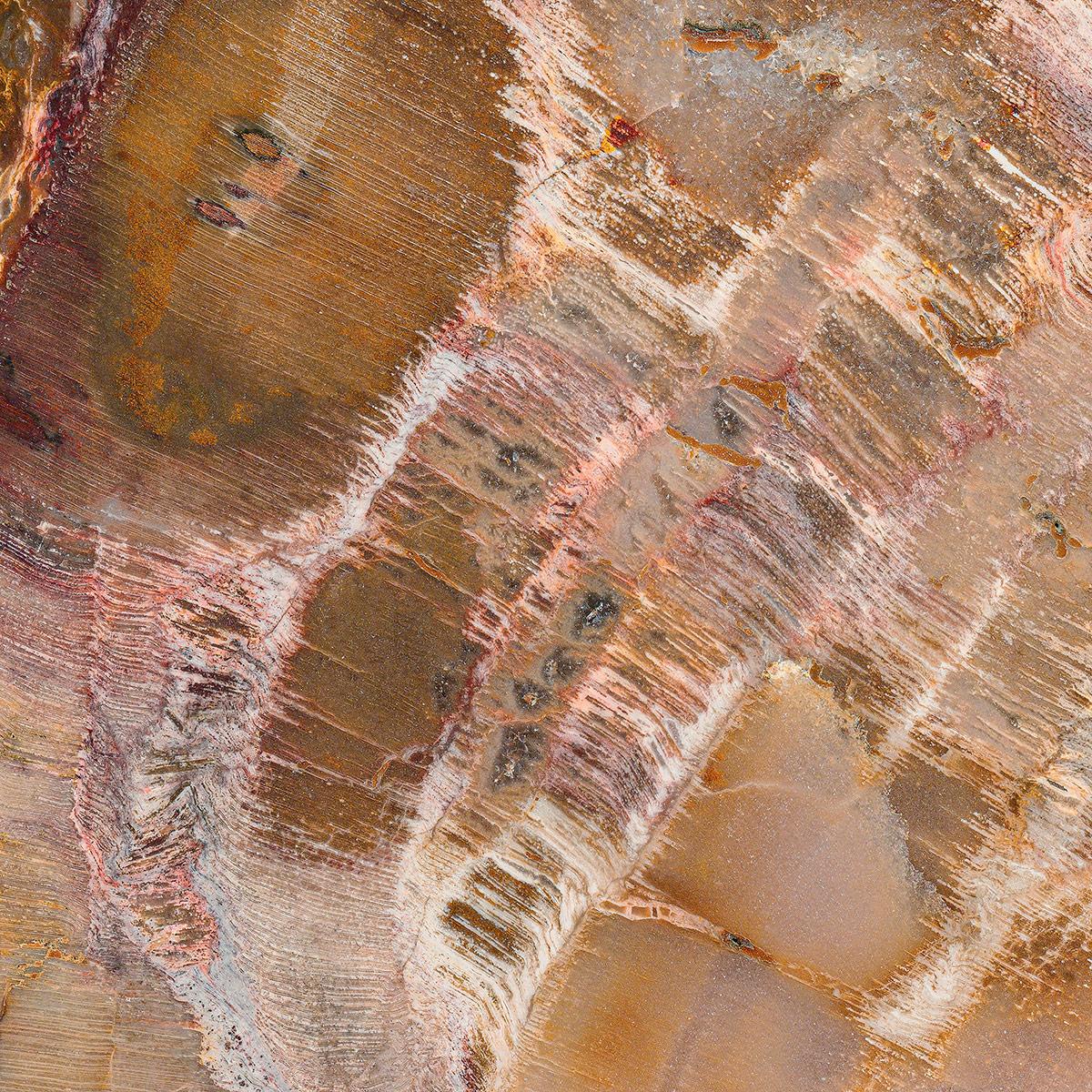 SICIS Ondulato Camel Cro Spathula sun-id-1991046