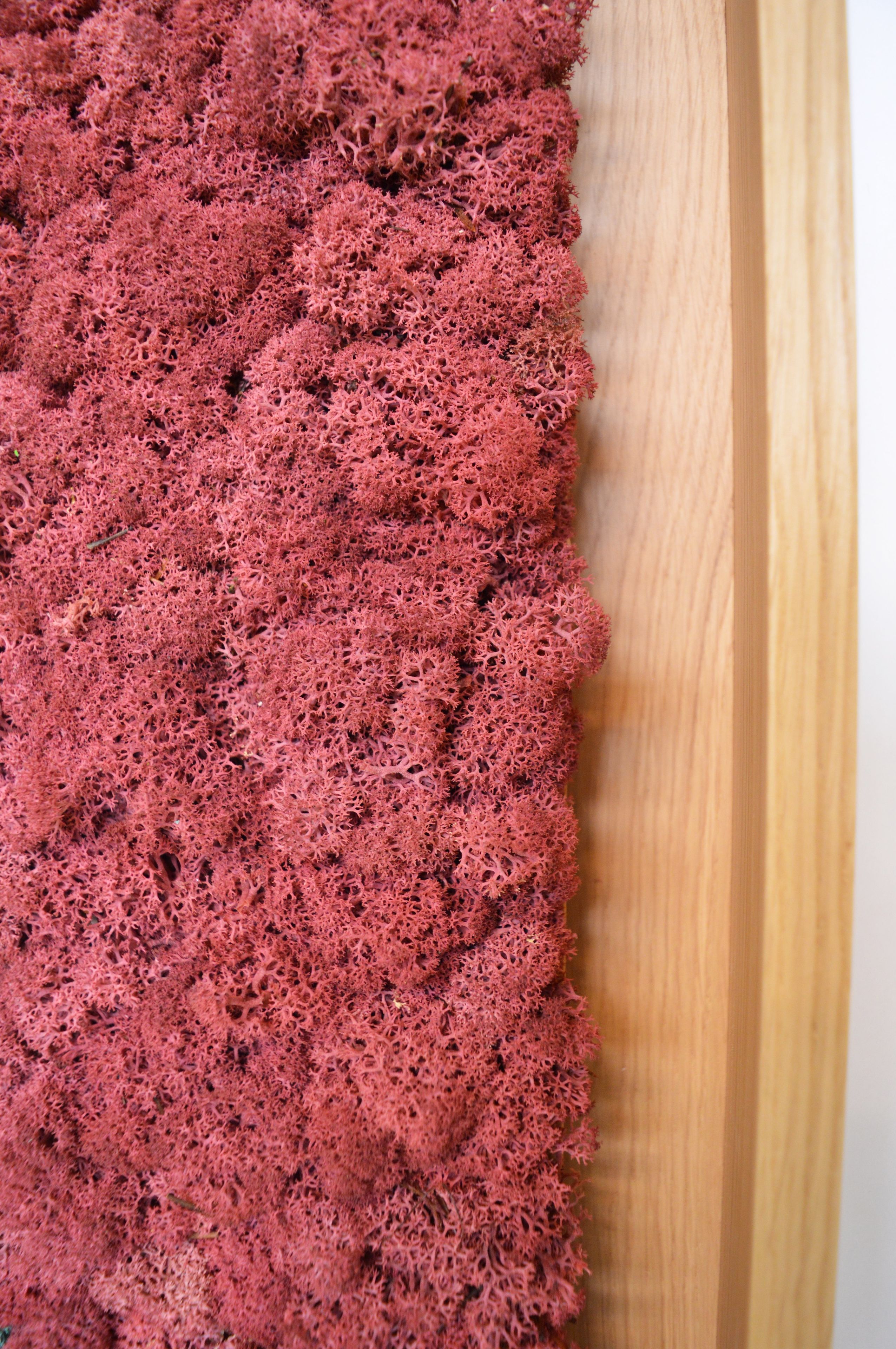 Акустическая панель из мха GREENMOOD FRAMED LANDSCAPE ARCH-00143245 - Вид №22