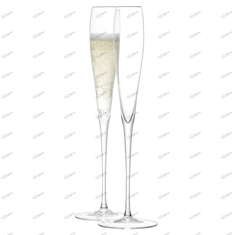 Набор из 2 высоких бокалов-флейт Wine 100 мл LSA International G87405991