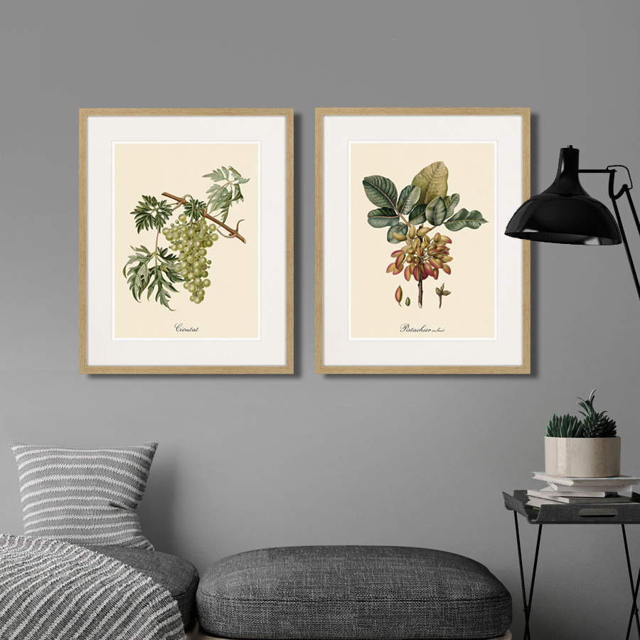 Картина Juicy fruit lithography №13, 1870 г., 42х52 см КАРТИНЫ В КВАРТИРУ  264431 Разноцветный  - Вид №2