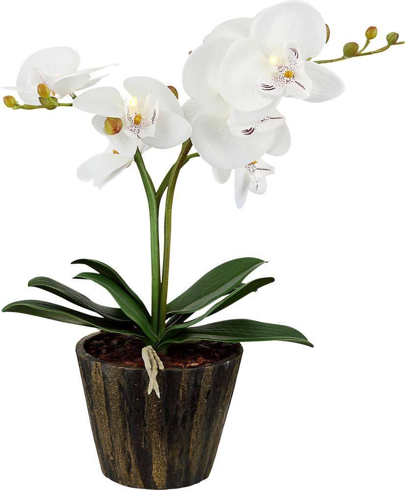 Настольная лампа Globo Flowerpower 28002 GLOBO ФЛОРИСТИКА 110297 Белый;черный Ceramica Globo  - Вид №1