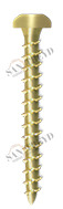 Винт TM 02 35 025 TM02 Tecfi 3,5 х 25 